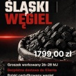 1000 KG POLSKIEGO GROSZKU - TYLKO 1799 ZŁ ZA PALETĘ - ogłoszenia 881063 | Sucha24
