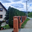 zdjęcie nr 