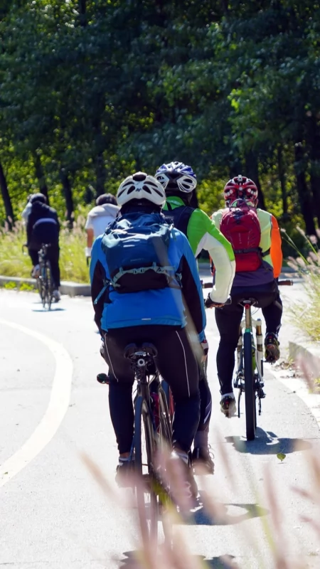Rower zmienia świat. Od inicjatywy Polaka w ONZ po rozwój VeloSkawa w naszym regionie