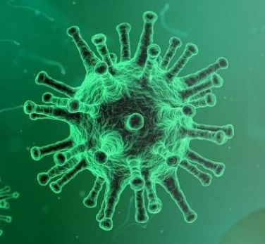 Zdjęcie: Sucha Beskidzka wiadomości Portal Powiatu Suskiego Sucha24