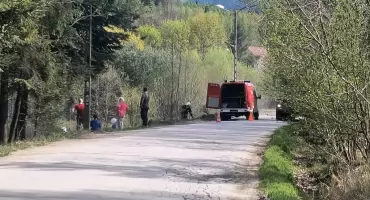 Pożar traw w Pewelce. Strażacy szybko opanowali sytuację