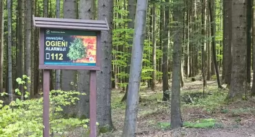 Wzrost zagrożenia pożarowego. Strażacy interweniowali kilkanaście razy