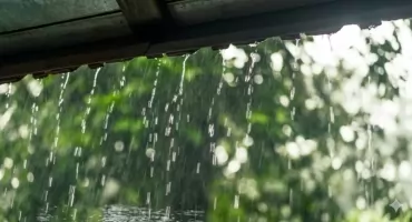 Ostrzeżenie meteorologiczne dla powiatu suskiego.