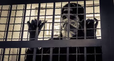 Rusza europejska kampania „EU Most Wanted”. Policja szuka najgroźniejszych przestępców