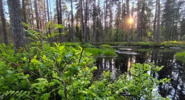 Jedna planeta, wspólna odpowiedzialność. Dziś obchodzimy Światowy Dzień Środowiska