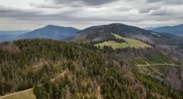 Sucha Beskidzka i wyjazdy przez południową granicę: mandaty na Słowacji i drogowe obowiązki