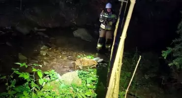 Nietypowa interwencja strażaków w Skawicy