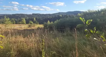 Czy Twoja rodzina podejmie wyzwanie? W Sidzinie szykuje się wyjątkowa gra terenowa