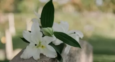 Jak wybrać nagrobek? Praktyczny poradnik dla rodziny