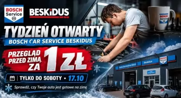 Przegląd samochodu za 1 zł. Przedzimowa akcja w Zembrzycach tylko do soboty
