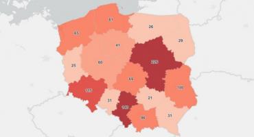 Czwartkowy, przedświąteczny raport epidemiczny 